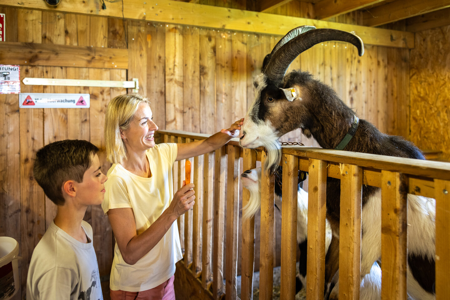 Streichelzoo im Freizeitpark in Flachau