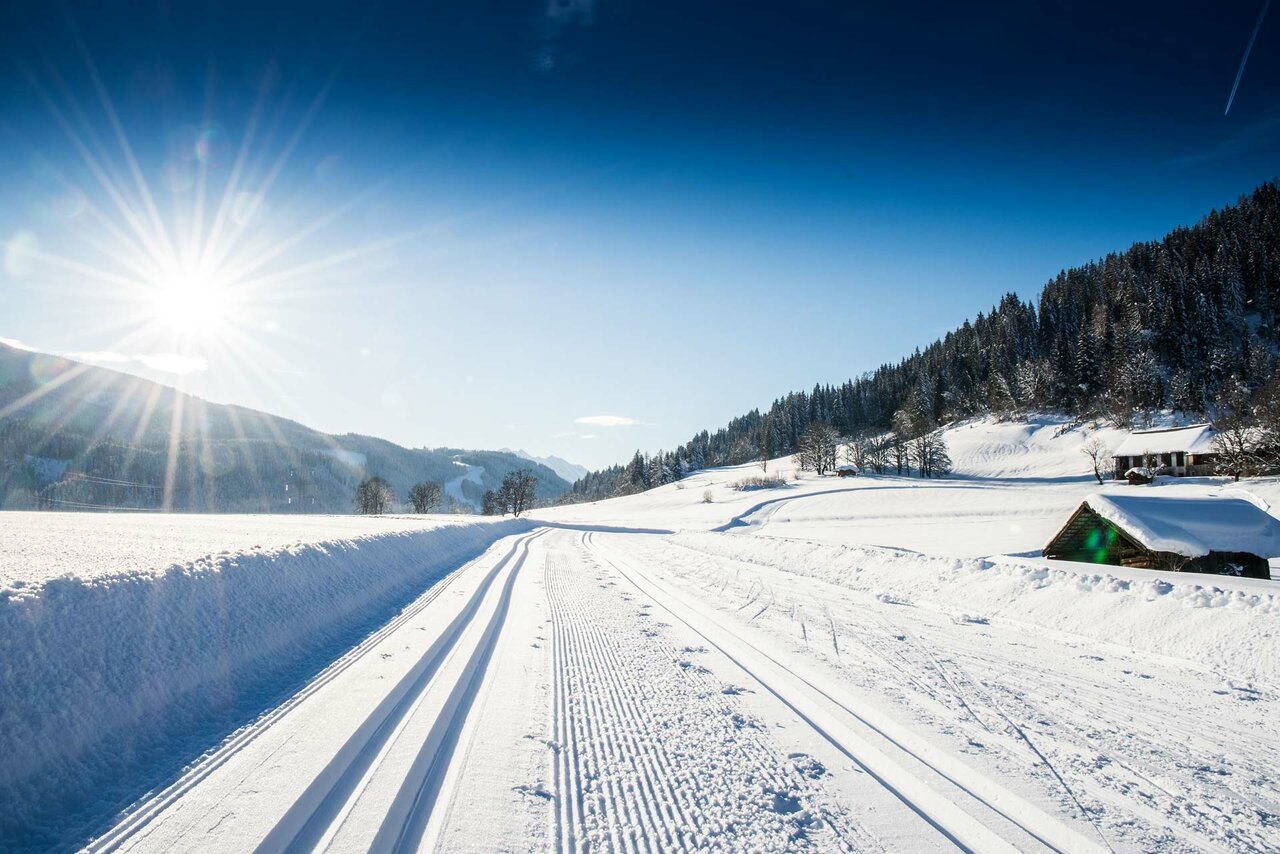 Langlaufen in Flachau