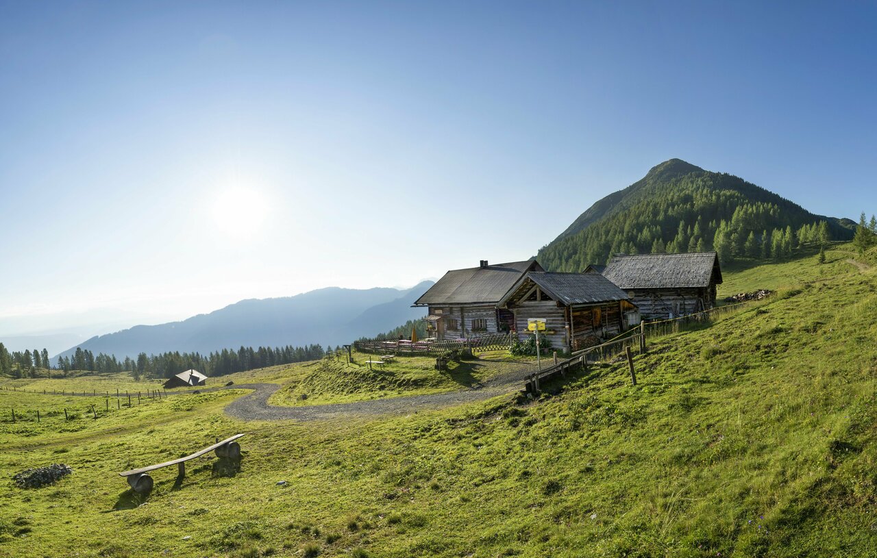 Genießen Sie die Flachauer Bergwelt mit unzähligen Wanderrouten