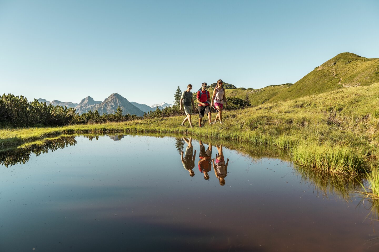 Wandern in Flachau im Salzburger Land